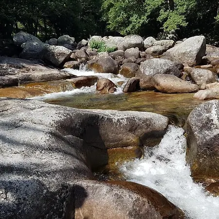 Coeur De Village * 圣让迪布吕耶勒