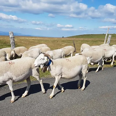 Coeur De Village 圣让迪布吕耶勒