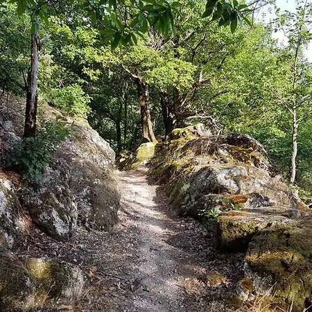 Appartamento Coeur De Village *