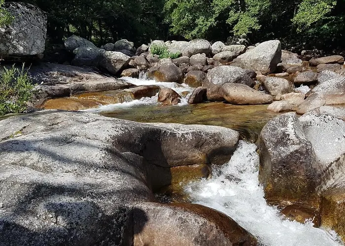 Coeur De Village * サン・ジャン・デュ・ブリュエル